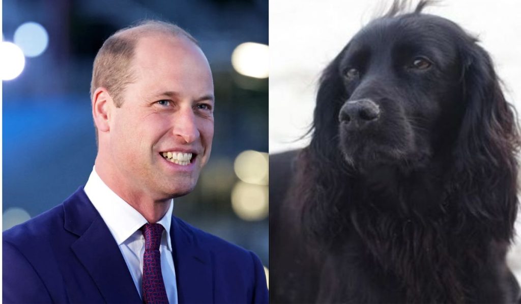 Princess-Kate-William
