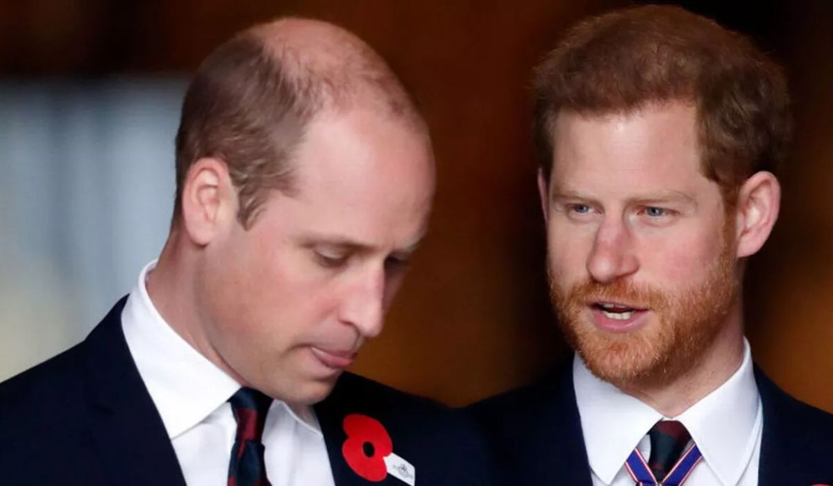 prince-harry-prince-william