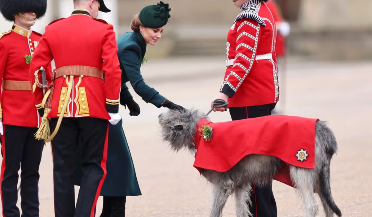 Princess-Kate